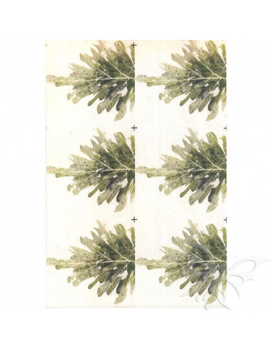 Fommy Decò SOFT AGRIFOGLIO x6 talco cm.20x30