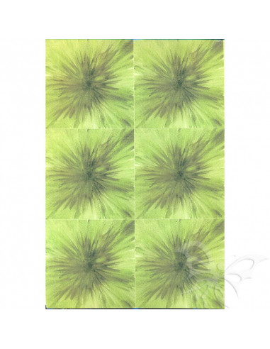 Fommy Decò SOFT Medium MONET x6 verde salvia/verde cm.20x30