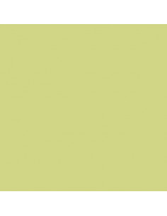 Foglio Gommyidea "Verde Salvia" 40x60cm 2mm