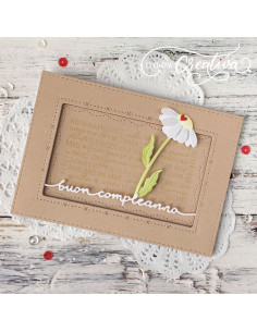 Set 2 Fustelle La Coppia Creativa Auguri & Compleanno RI290 2