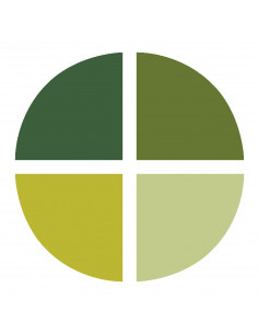 Set 4 Tamponi a goccia Memento per timbri - Greenhouse 2