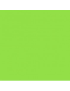 Foglio Gommyidea "Verde Lime" 40x60cm 2mm