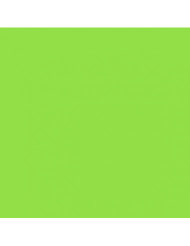 Foglio Gommyidea "Verde Lime" 40x60cm 2mm