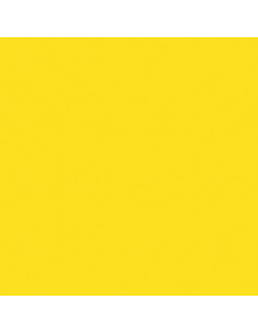 Foglio Gommyidea "Giallo" 40x60cm 2mm