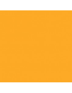 Foglio Gommyidea "Arancio Chiaro" 40x60cm 2mm