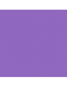 Foglio Gommyidea "Viola" 40x60cm 2mm