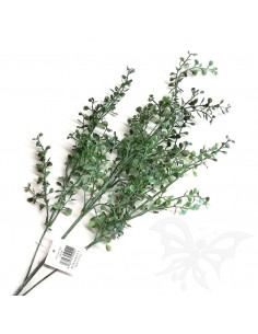 GROBE col.verde 80cm. PTL16013SLF