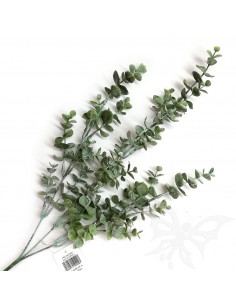 EUCALYPTUS col.verde 70cm. PTL16012SLF