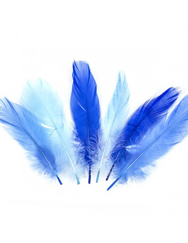 Set 15 Penne naturali colorate, toni dell' azzurro