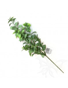 PEPPERMINT col.verde 25cm. PTL17169S