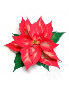 Stella di Natale...