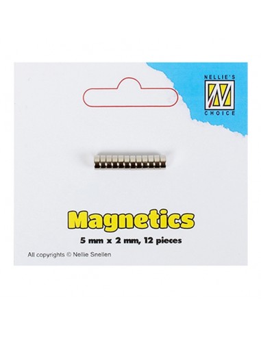 Set 12 Mini Magneti Super potenti