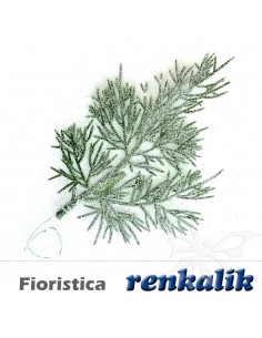 Rametto Thuia effetto...