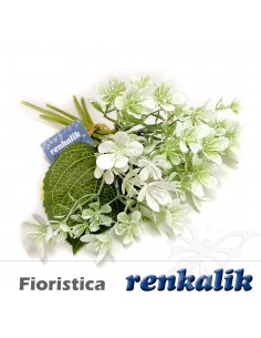 Silene Bianco mazzetto h26cm