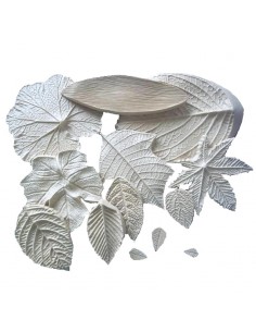 STAMPI per FOMMY fOGLIE cf....