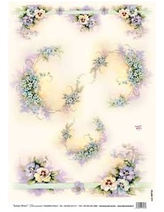 carta riso panzè sonie ames