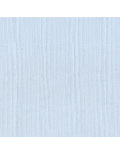 Cartoncino Bazzill 216gr...