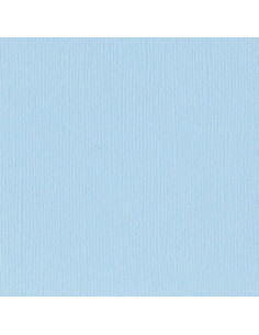 Cartoncino Bazzill 216gr...