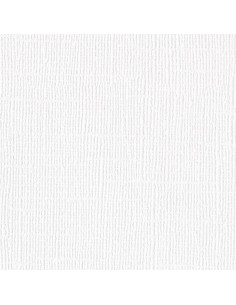 Cartoncino Bazzill 216gr...