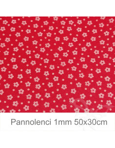 Pannolenci 50x30cm 1mm...