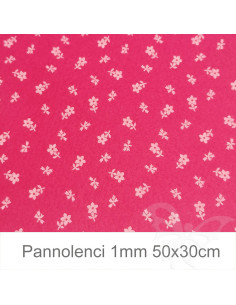 Pannolenci 50x30cm 1mm...