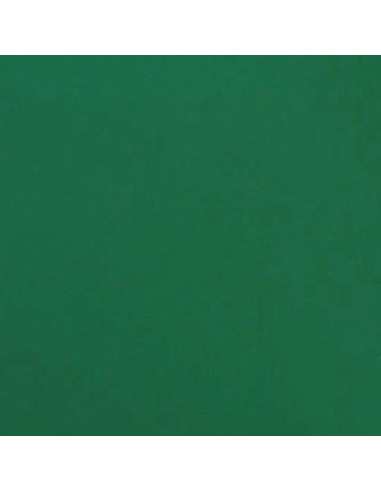 Foglio fommy SOFT 1mm "Verde Scuro"...