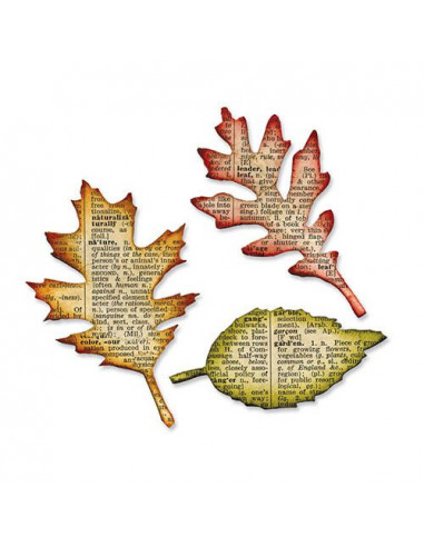 Fustella Bigz Sizzix Tattered Leaves 656927