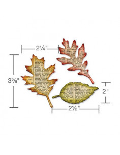 Fustella Bigz Sizzix Tattered Leaves 656927 2