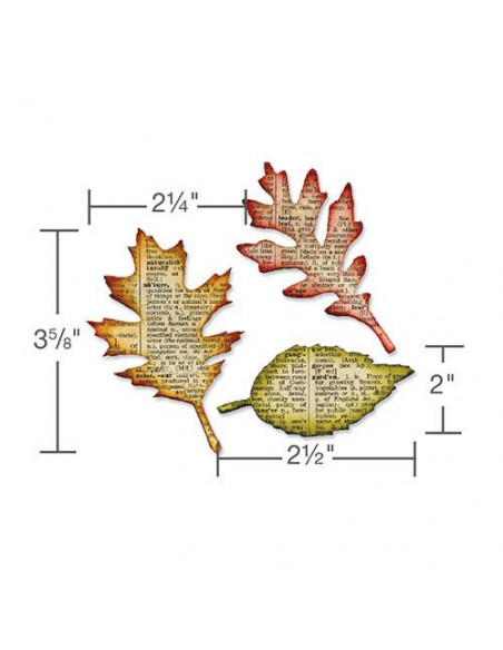 Fustella Bigz Sizzix Tattered Leaves 656927