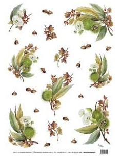 carta riso rosaspina