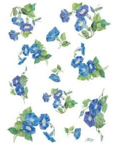 carta riso campanelle