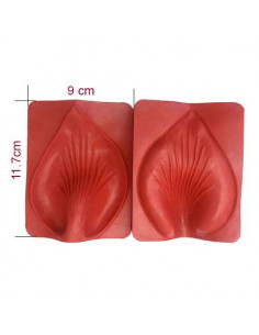 Stampo per fommy Llis sta005 2