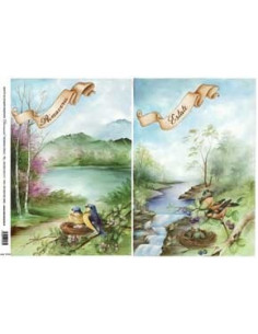 carta riso 4 stagioni