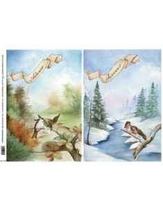 carta riso 4 stagioni