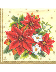 Stella di natale