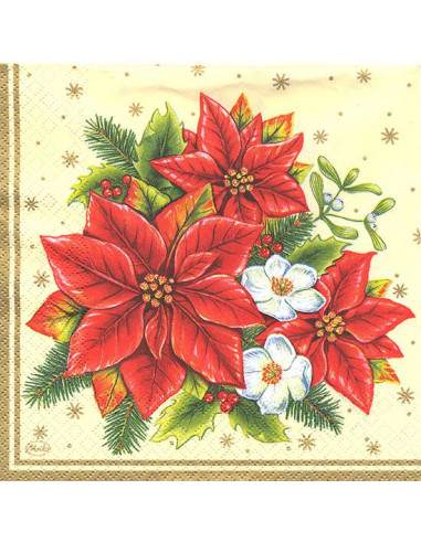 Stella di natale