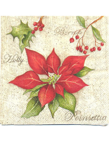 Poinsettia