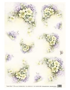 carta riso rose canine sonie ames