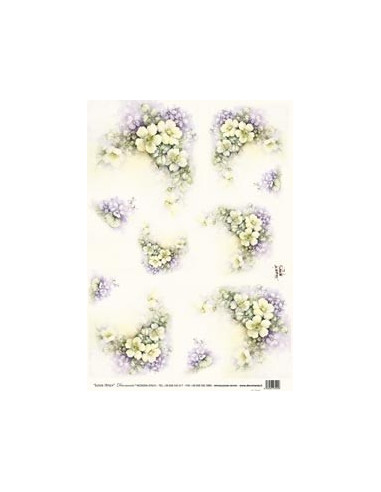carta riso rose canine sonie ames
