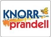 knorr prandell